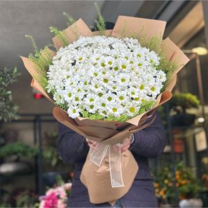  Alanya Çiçek - Papatya & Gerbera