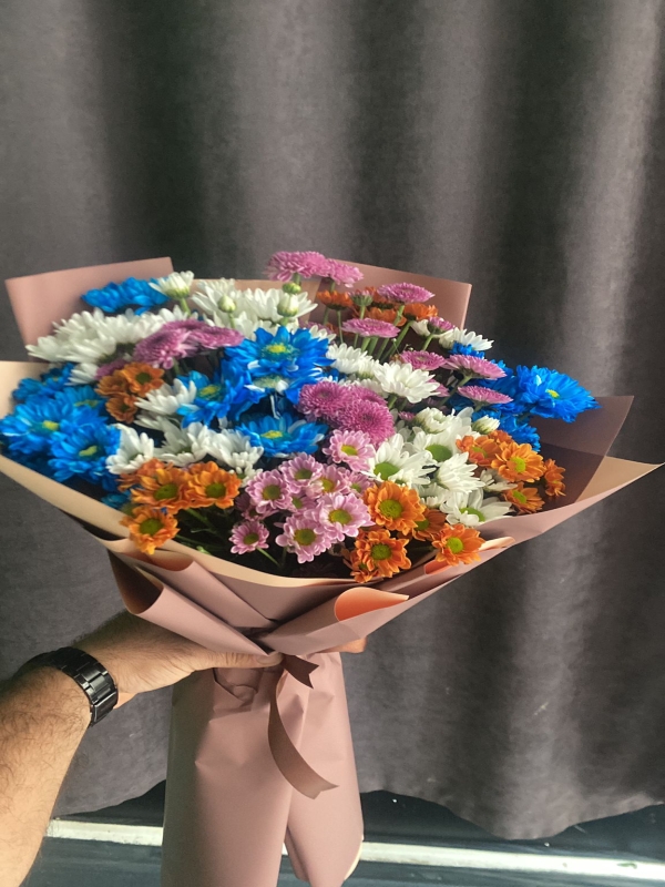 Alanya Çiçekçi - Kasım Ayının Kasımpatı ciceği